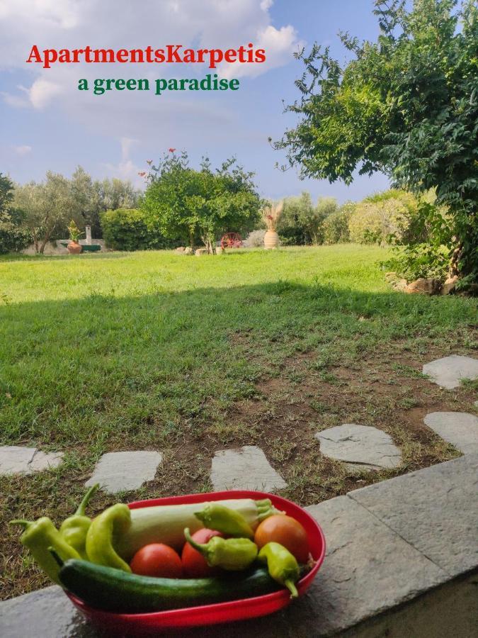 Karpetis A Paradise Apartament *