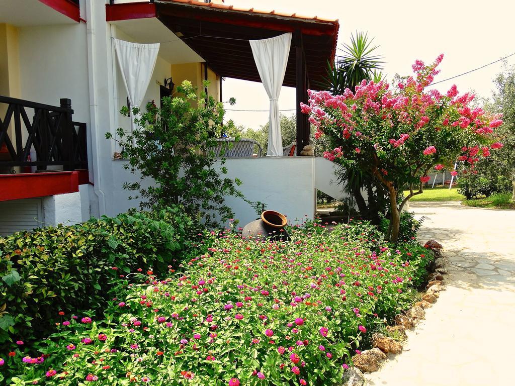 Karpetis A Paradise Apartament Psakoudia