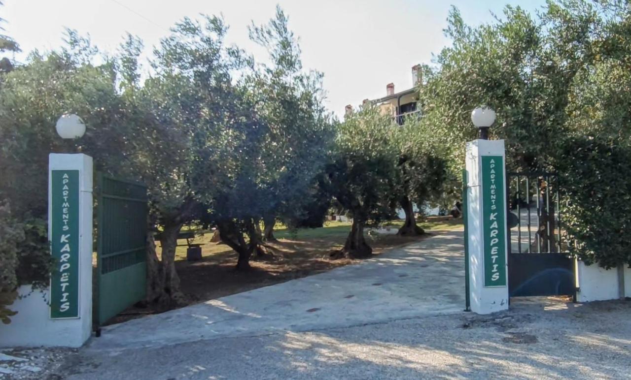Karpetis A Paradise Apartament Psakoudia