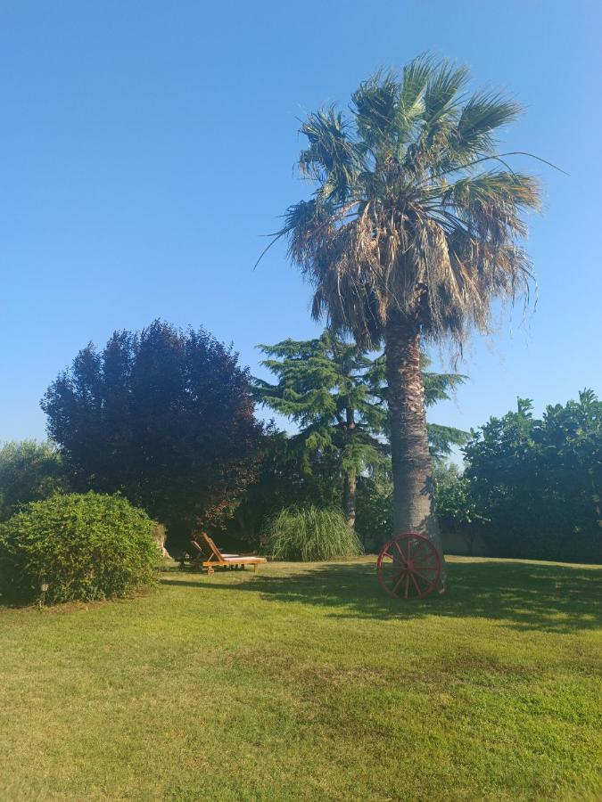 Apartament Karpetis A Paradise *