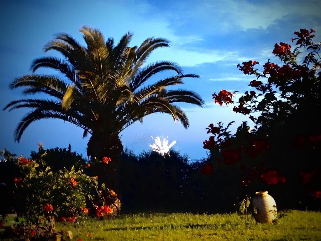 Apartament Karpetis A Paradise Psakoudia