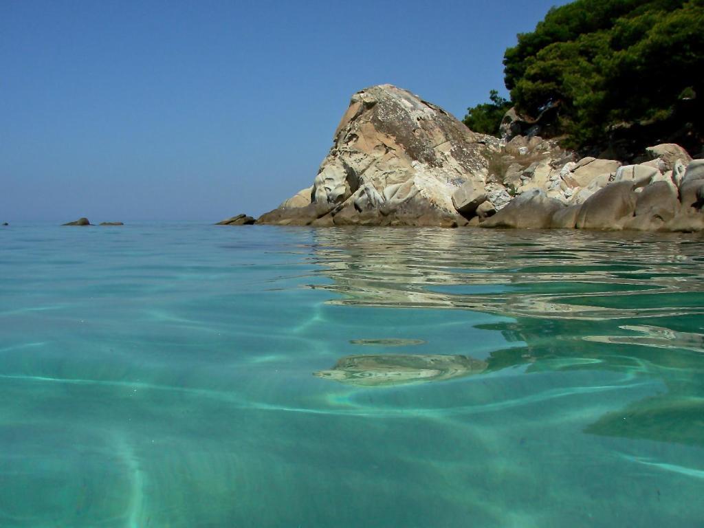 Karpetis A Paradise Apartament Psakoudia
