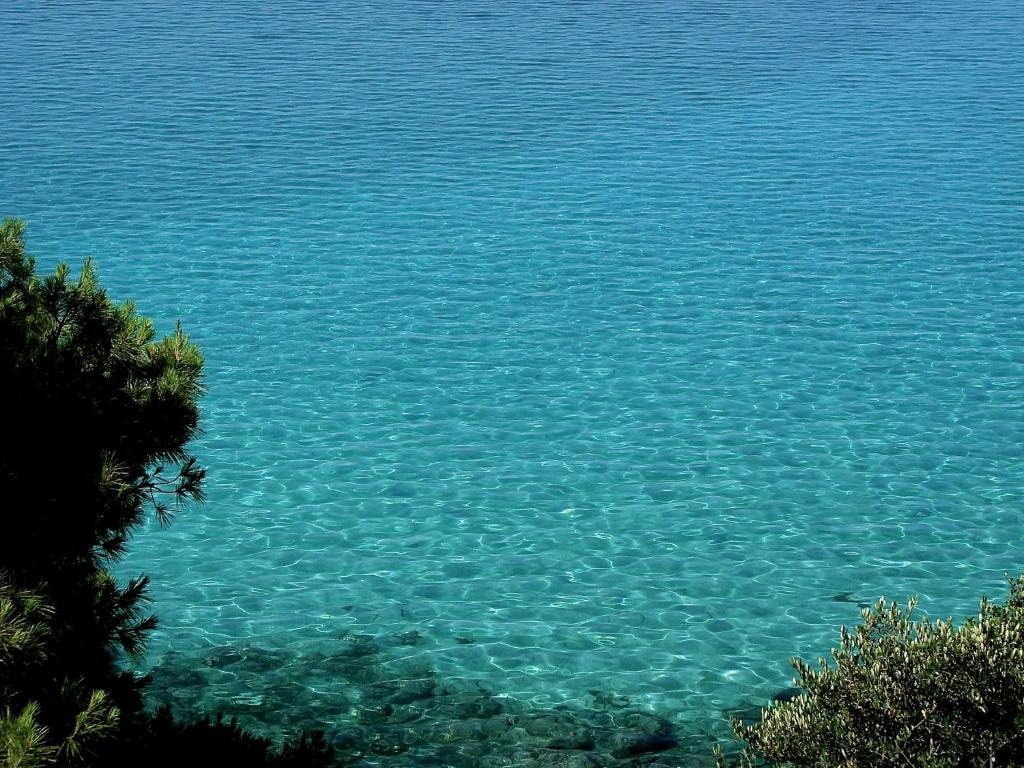 Apartament Karpetis A Paradise Psakoudia